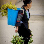 ซาปา เวียดนามเหนือ ตอนที่ 3/4 36 ครูสนิท วิทยากรฝึกอบรม KRU SANIT Sapa Vietnam 2 1 ครูสนิท วิทยากรฝึกอบรม ทัศนคติเชิงบวก KRU SANIT