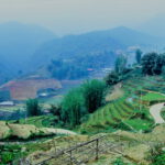 ซาปา เวียดนามเหนือ ตอนที่ 3/4 17 ครูสนิท วิทยากรฝึกอบรม KRU SANIT Terraced field at cat cat village 1 ครูสนิท วิทยากรฝึกอบรม ทัศนคติเชิงบวก KRU SANIT