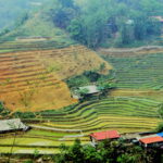 ซาปา เวียดนามเหนือ ตอนที่ 3/4 19 ครูสนิท วิทยากรฝึกอบรม KRU SANIT Terraced field at cat cat village 3 ครูสนิท วิทยากรฝึกอบรม ทัศนคติเชิงบวก KRU SANIT
